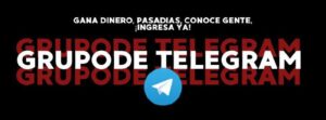 Descripción de la imagen